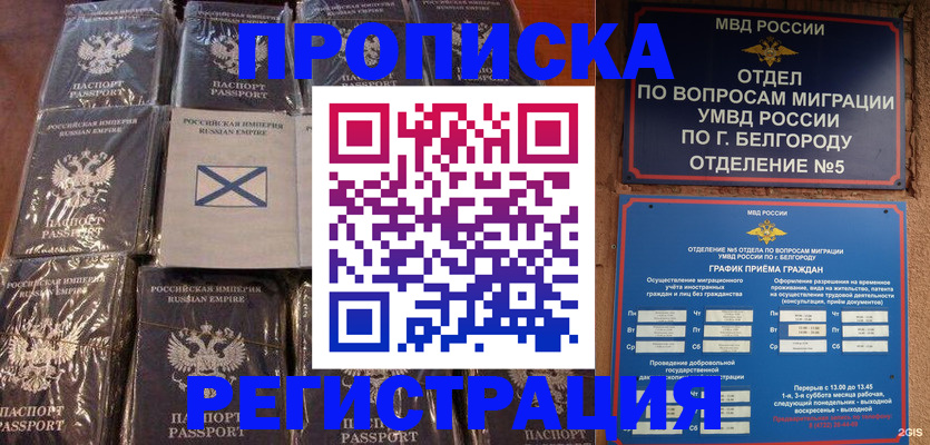 прописка гарантия в Зиме